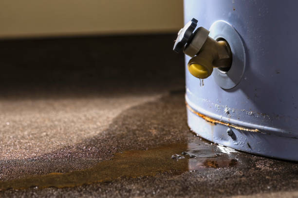 Best Water damage cleanup near me  in , OR