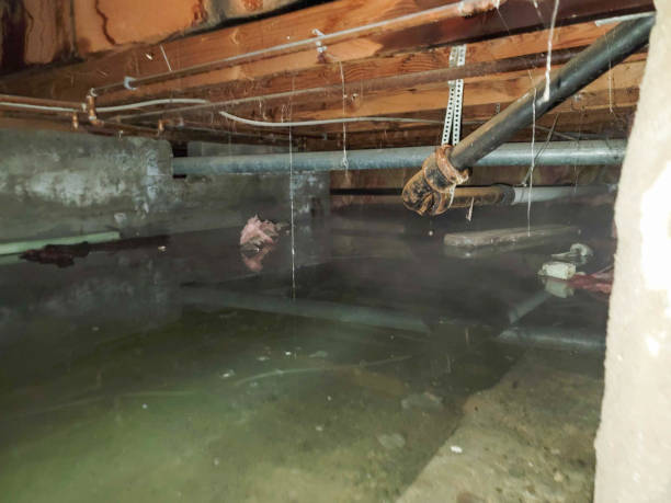  , OR Water damage restoration Pros