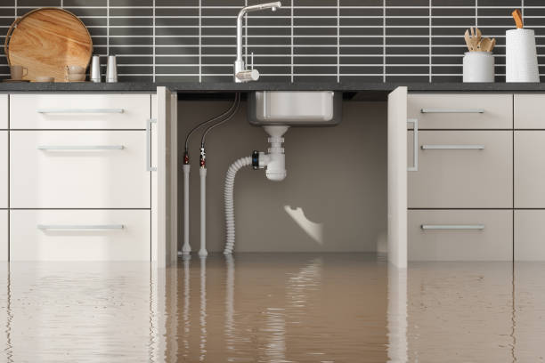 Best Residential water damage restoration  in , OR