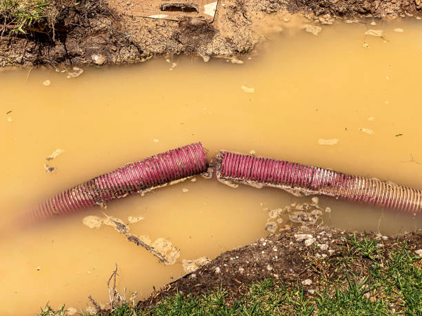 Best Water damage contractors near me  in , OR